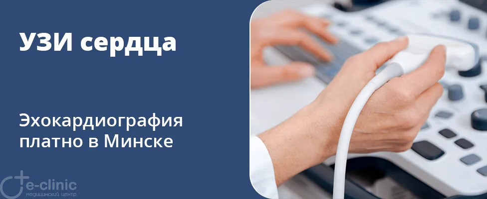 Эхокардиография (УЗИ сердца)