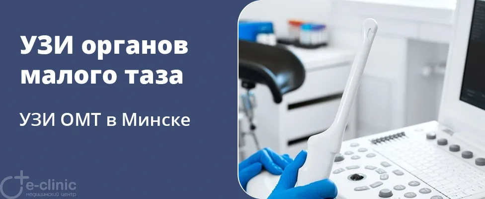 УЗИ органов малого таза (ОМТ)