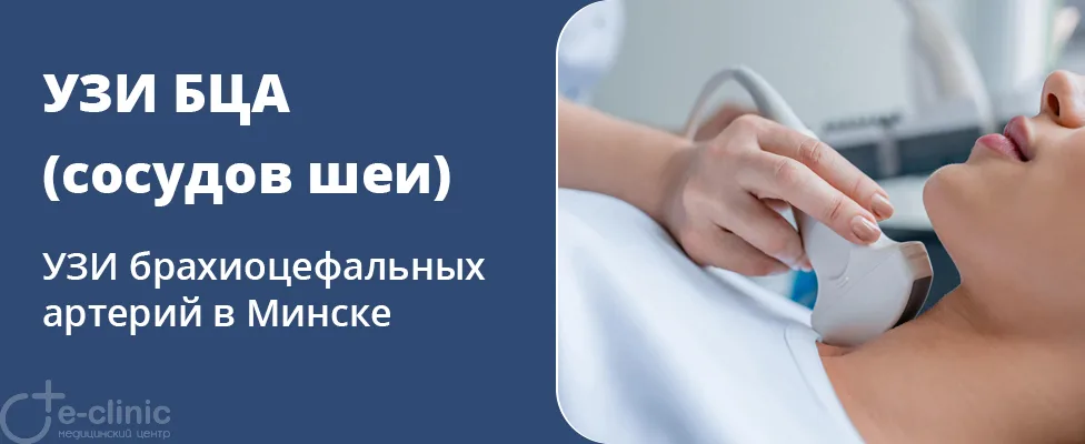 УЗИ брахиоцефальных артерий