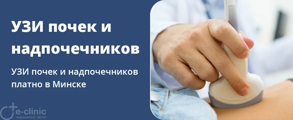 УЗИ почек и надпочечников